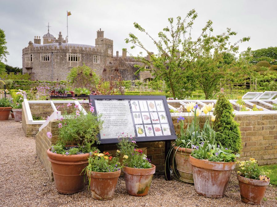 A collection of planted pots in front of a Victorian cold frame with the castle in the background.