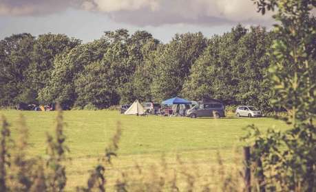 Campsite with tents set in a field surrounded by trees.
