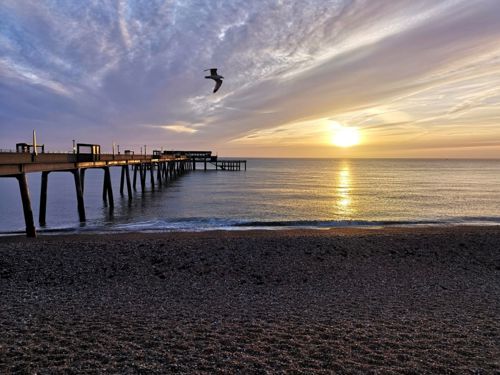 Deal Pier and seafront at first light with a seagull flying overhead