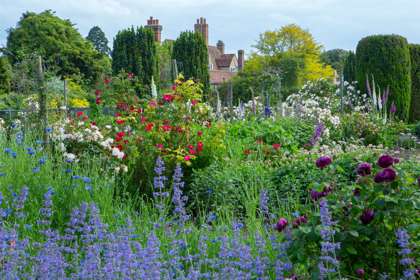Goodnestone Manor visible in the background with colourful flowers and topiary in the foreground