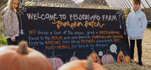 A pile of pumpkins in front of a sign saying 'Welcome to Felderland Farm Pumpkin Patch' with two children standing beside.