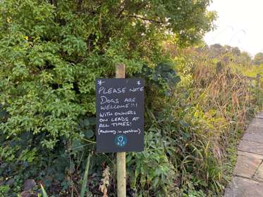 A slate and chalk sign saying dogs are welcome with greenery behind.
