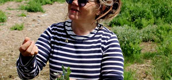 A woman wearing sunglasses and a striped t-shirt holding a bunch of herbs foraged from the shore with the white cliffs in the background.