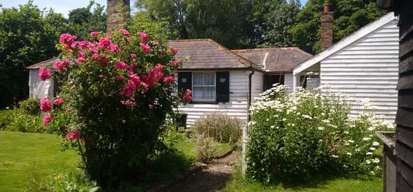 White Mill miller's cottage with pink rose bush in front.