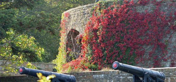 Walmer Castle wall clad in red autumnal leaves, two cannons in the foreground. 