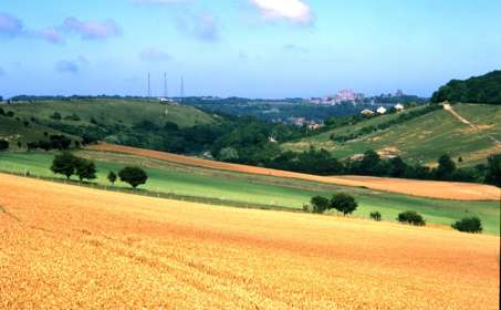 Countryside views towards Dover