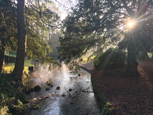 Sunlight through tree branches and mist on the river running through Kearsney Park.