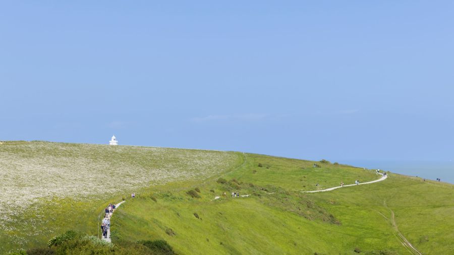 A winding path through green fields with blue sky and sea