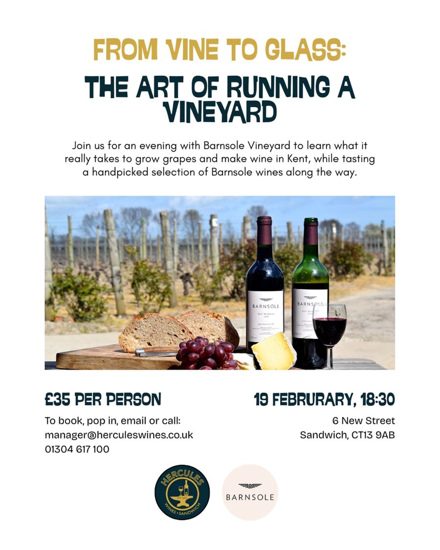 Bottles of wine, cheese and grapes with a vineyard behind.