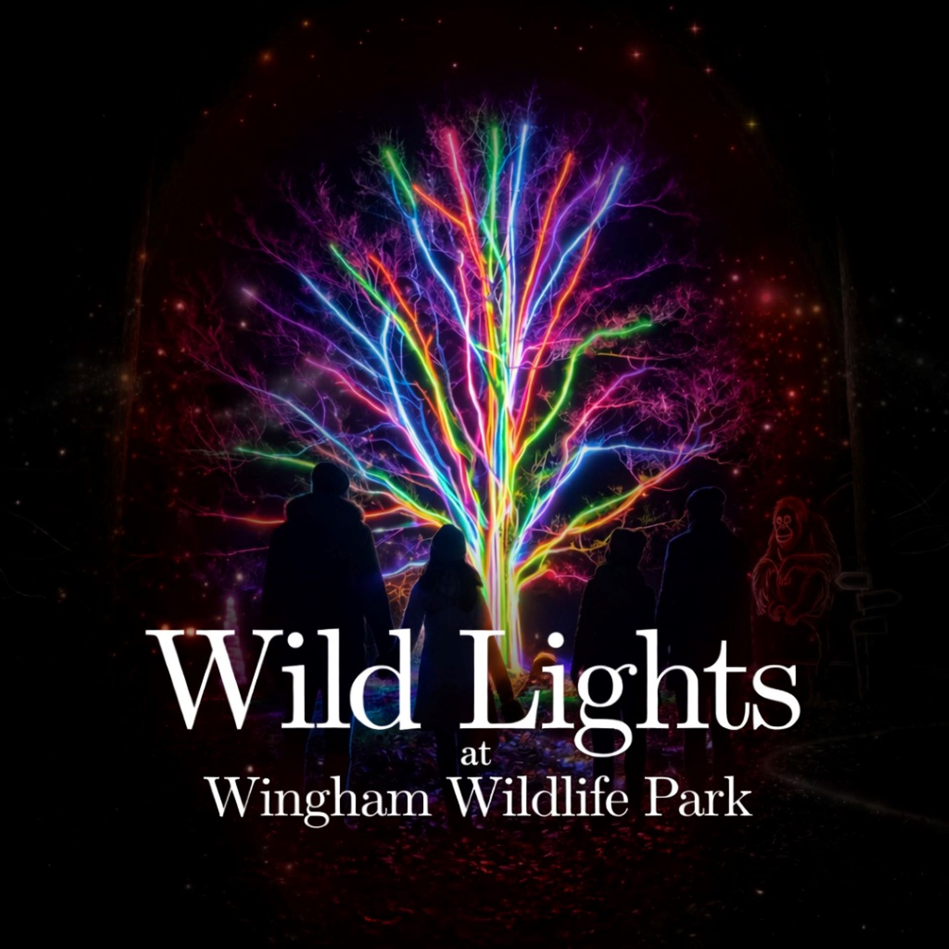 Outline of tree branches lit up with colourful lights