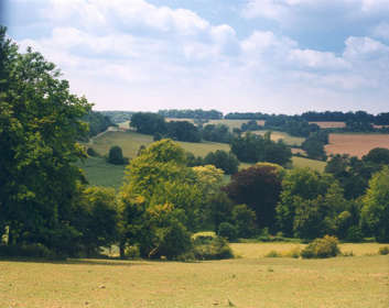 View of Alkham