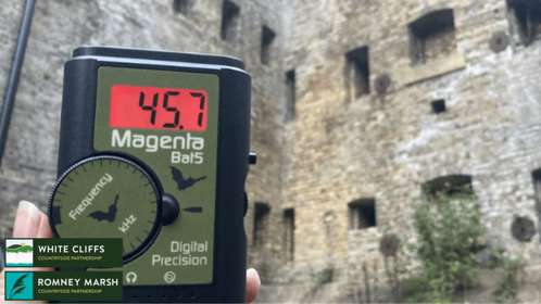 A bat detector being held in front of a tall brick wall