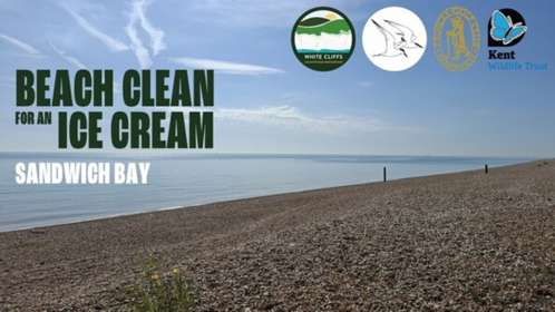 Sandwich Bay. A shingle beach on a sunny day