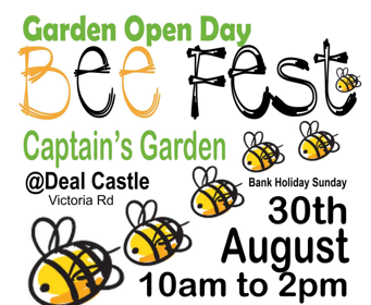 A poster for bee fest with illustrated doodles of bees in the background