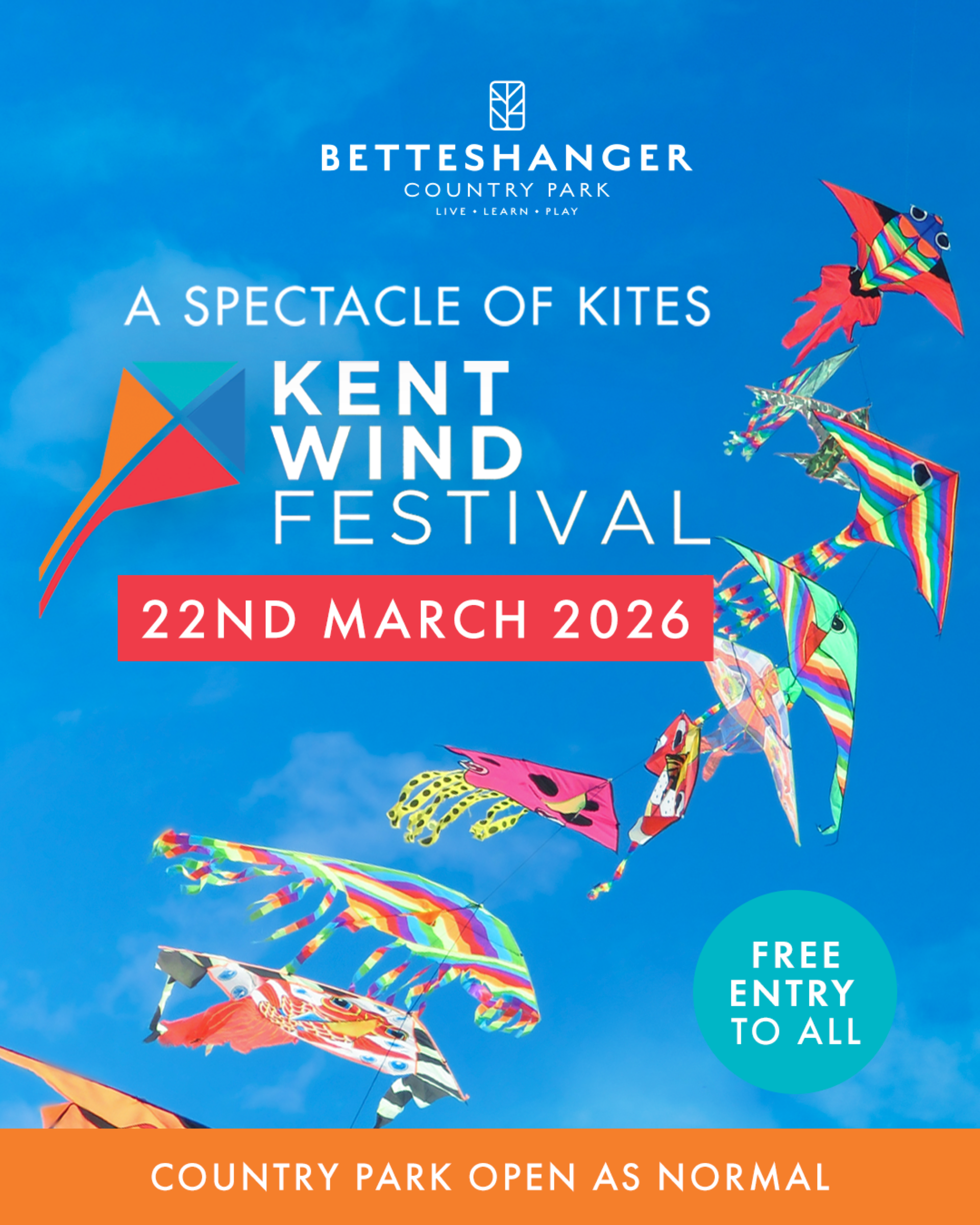 Colourful kites on a blue sky