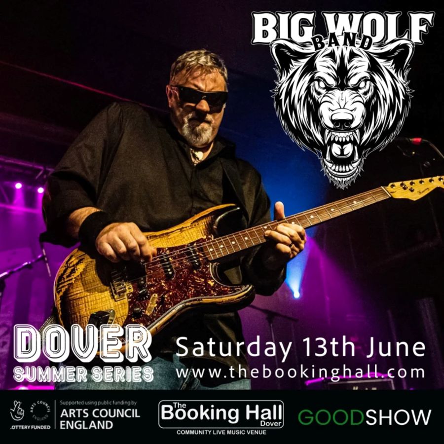 A man in dark glasses playing a guitar with a black & white wolf's head in the corner of the picture.