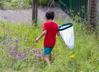 Child holding bug net in tall grass