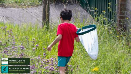 A child on a bug hunt walking through grass with a net