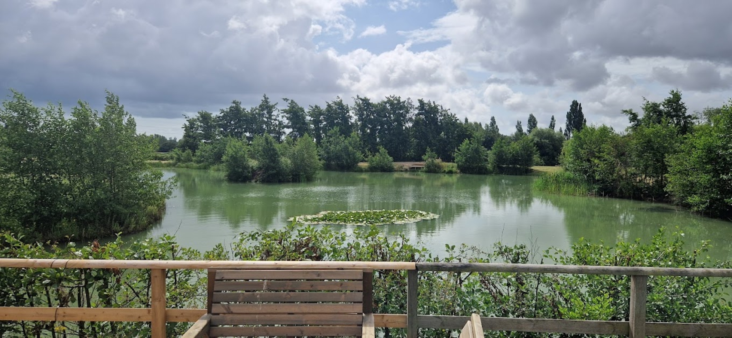 From the verandah a view of Berry lake surrounded by trees