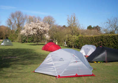 Camping tents at Hawthorn Farm