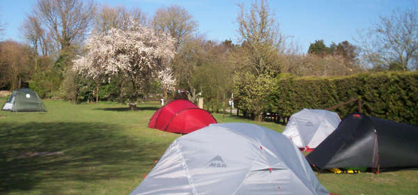 Camping tents at Hawthorn Farm