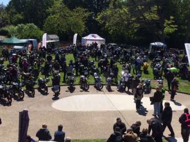 A large group of classic motorcycles at a show