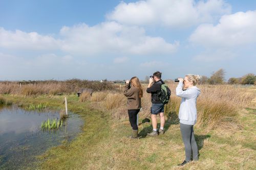 Three people with binoculars birdwatching over a pond