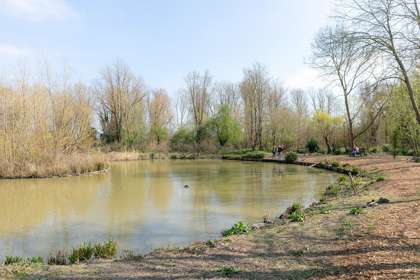 Lake at Gazen Salts Nature Reserve with people standing and sitting watching the wildlife
