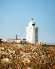 A faded field of daisies with a lighthouse in the distance and blue sky.