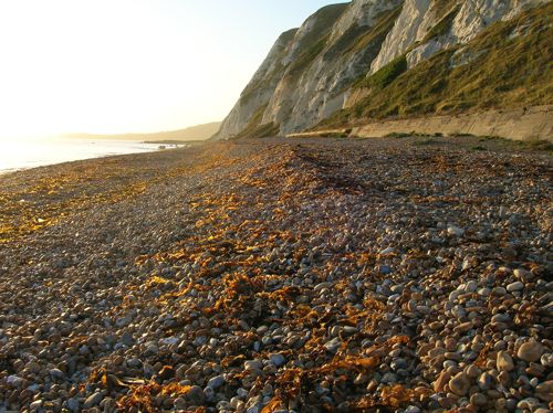 Landscape of Samphire Hoe Beach