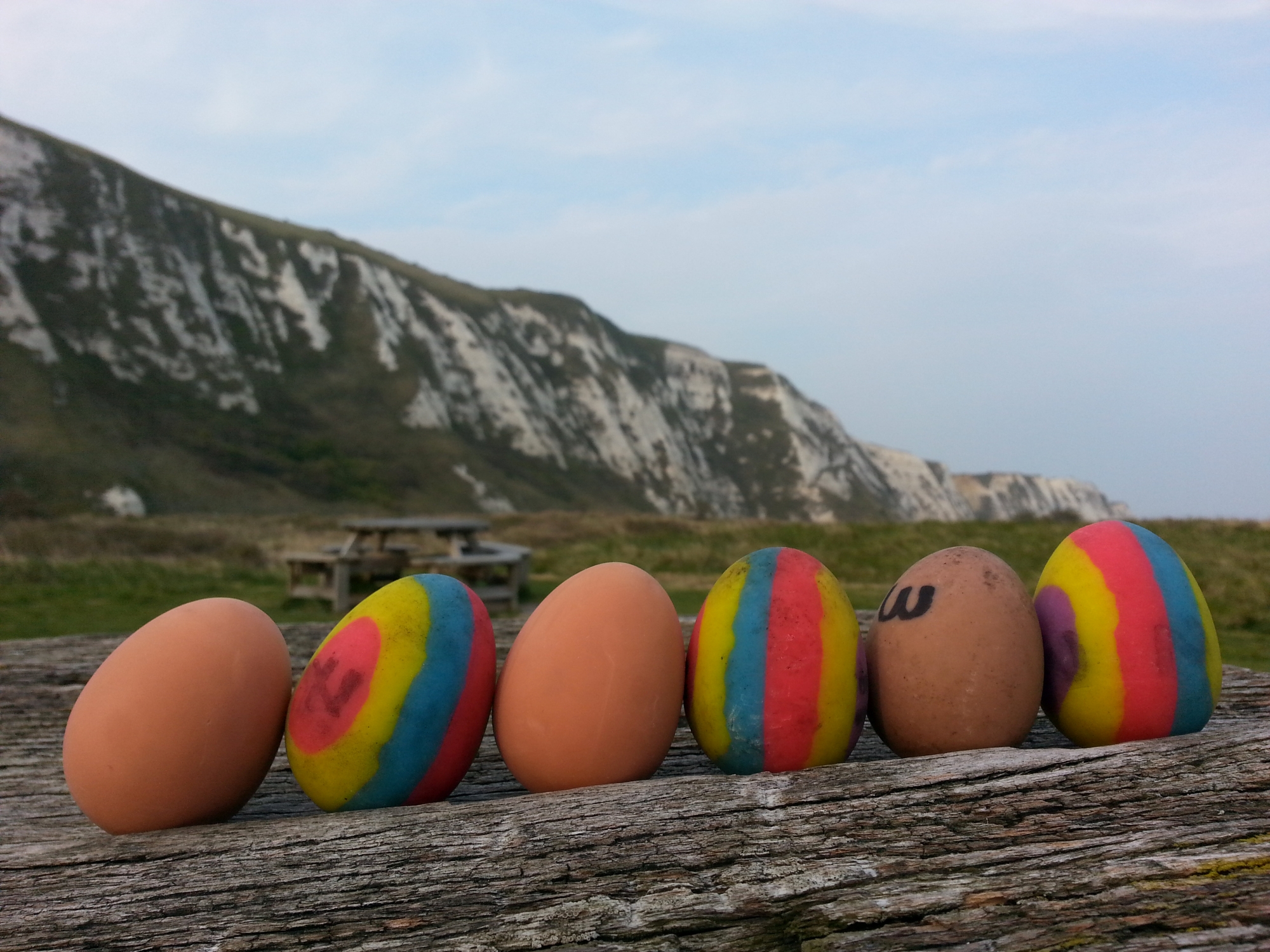 A row of coloured eggs sitting on a bench with the white cliffs behind