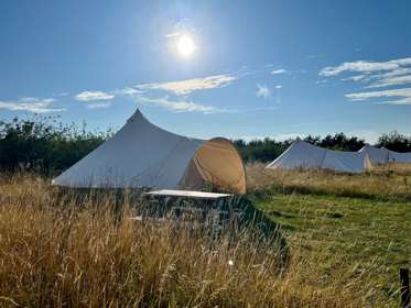 Bell tents in a grassy meadow.