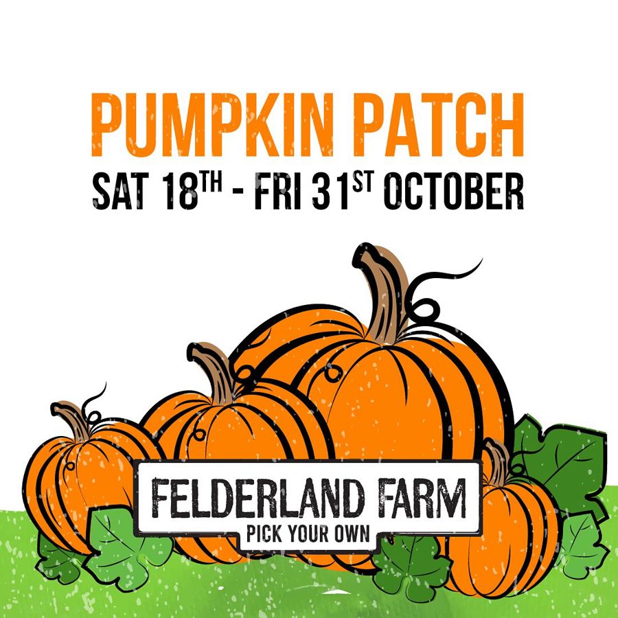 Pumpkin patch poster 