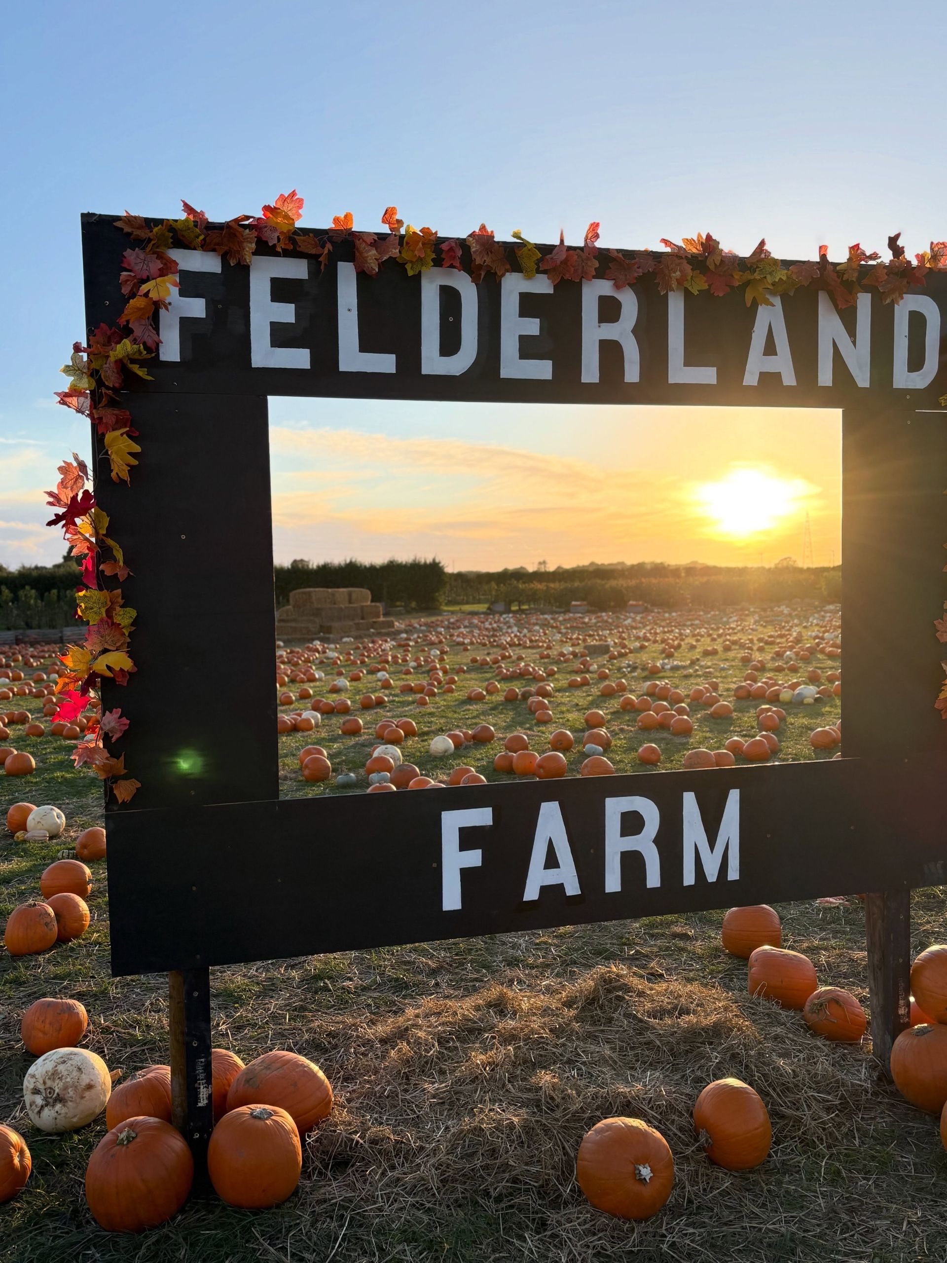 A sign with a window cut out showing pumpkins in a field and setting sun.