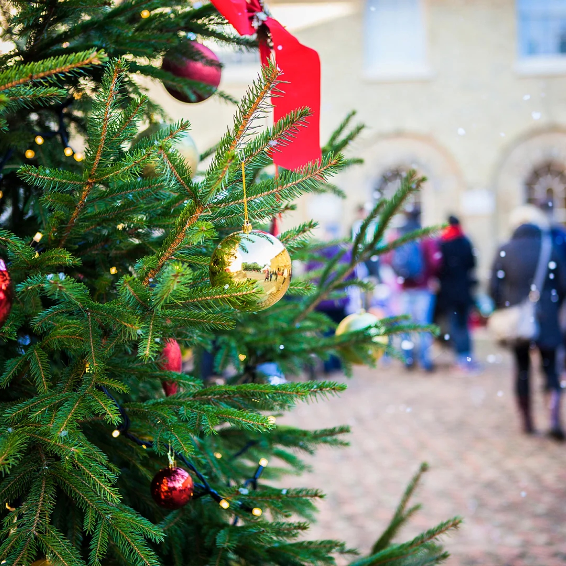 Christmas tree with coloured baubles and bows