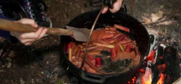 Cooking pot over a fire with foraged food in side 