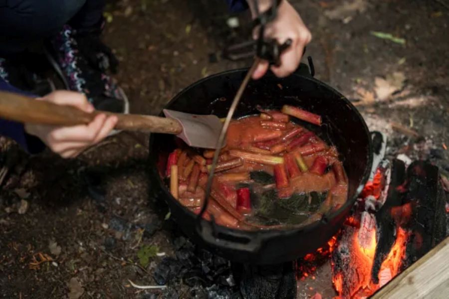 Cooking pot over a fire with foraged food in side 