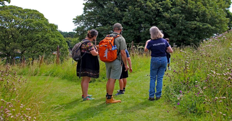 Walkers led by a volunteer in a grassy area with wild flowers