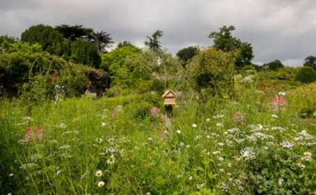 Garden with wild flowers, trees and hedges at Goodnestone Park