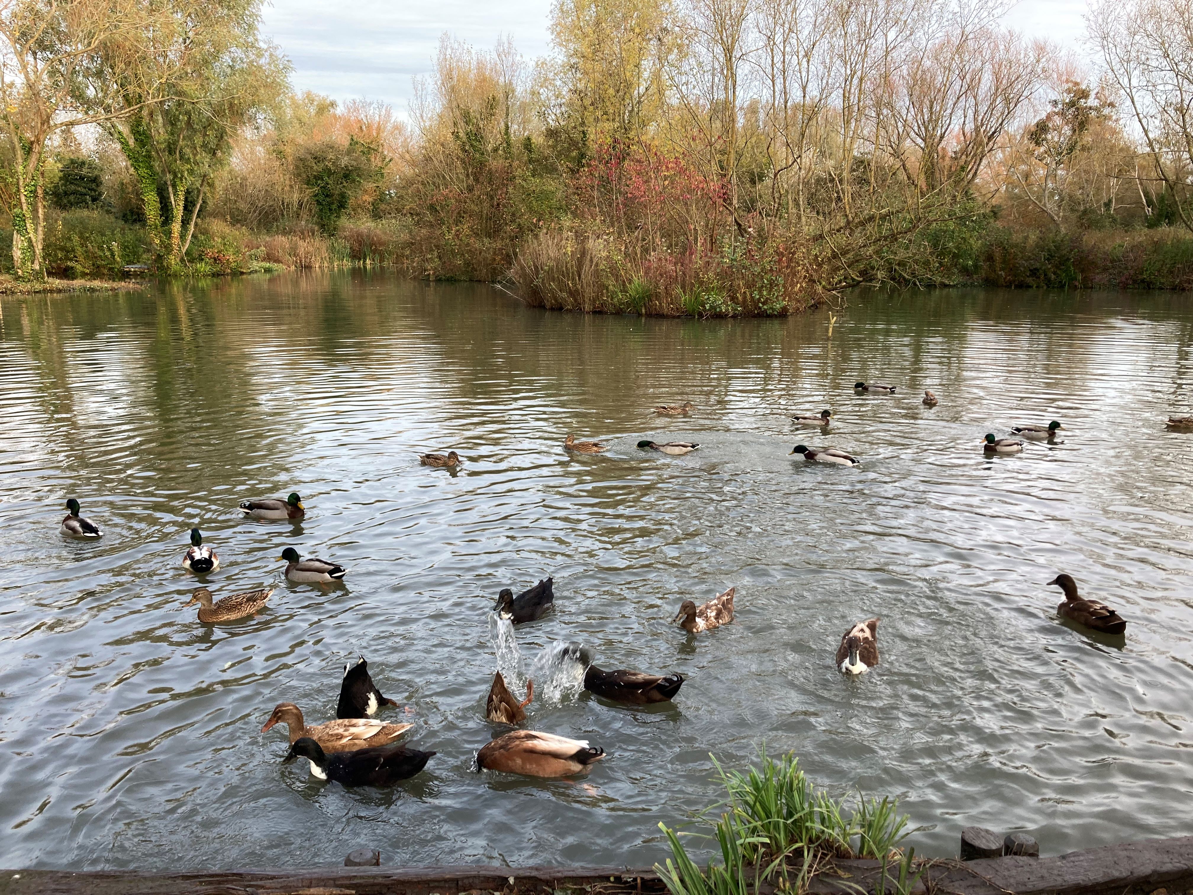 Gazen Salts Nature Reserve