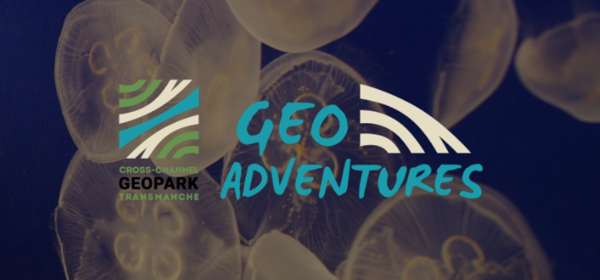 Black and white image of jellyfish with GeoAdventures logo