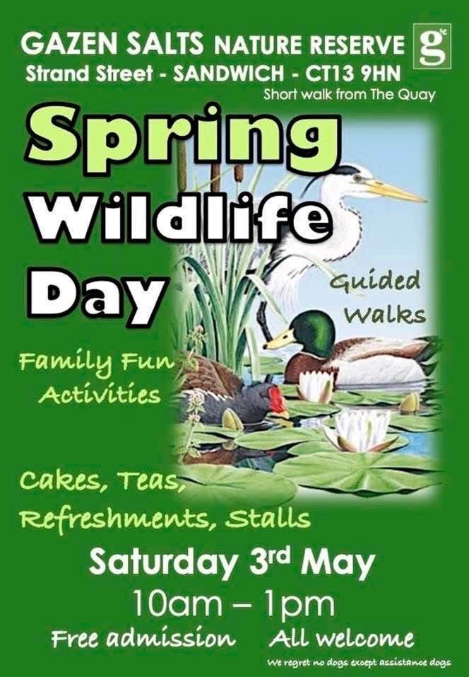 Poster advertising the Spring Wildlife Day at Gazen Salts Nature Reserve