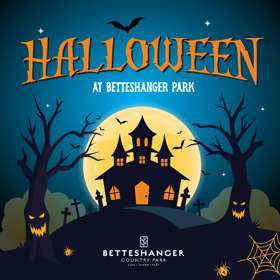Cartoon poster with haunted house, trees, spiders and webs advertising a Halloween event