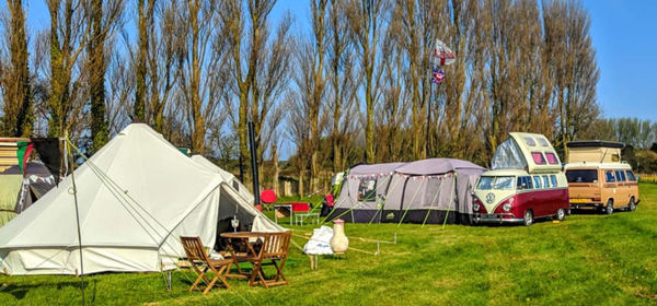 Tents and campervans on green grass with a row of polar trees and blue sky behind. 