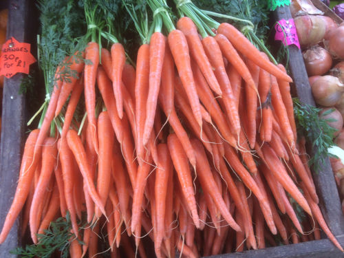A pile of bunched carrots in a box.