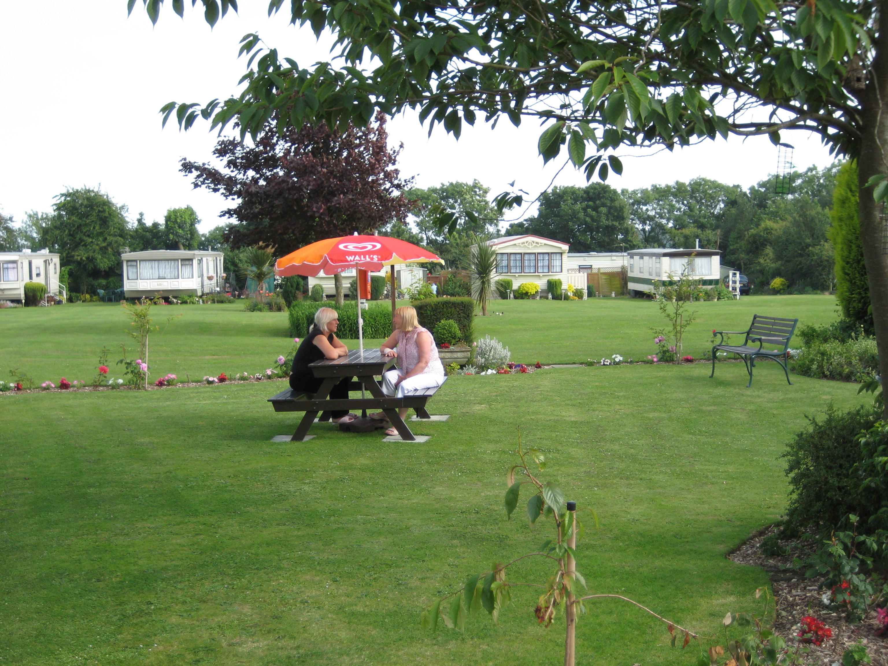 Little Satmer Holiday Park, Camping