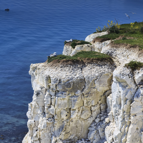 White Cliffs Country, White Cliffs of Dover, Kent