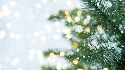 Close-up of a Christmas tree's branches with twinkling lights and snowflakes