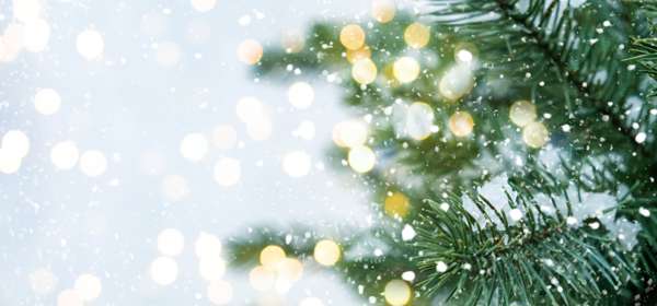 Christmas tree and sparkling lights