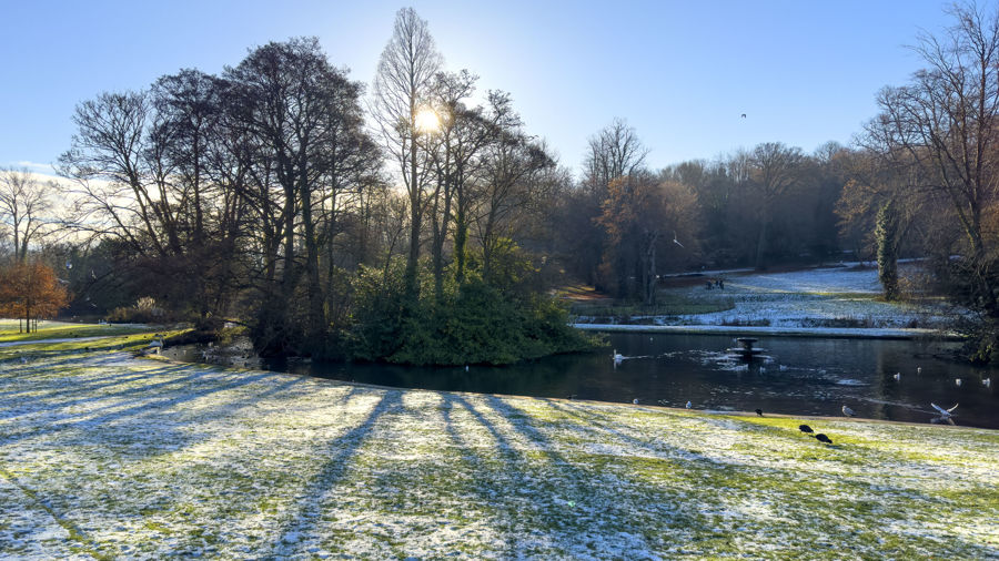 Frost covered grass with shadows of trees
